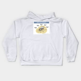 Parts of a mosquito Kids Hoodie